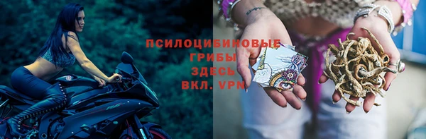 дмт Бугульма