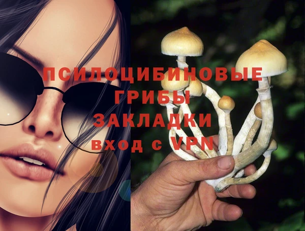 дмт Бугульма