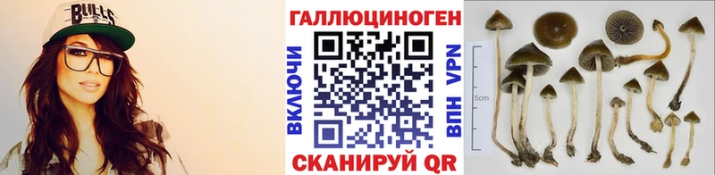 Галлюциногенные грибы мицелий  продажа наркотиков  Выборг 