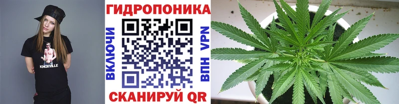 Марихуана Amnesia  Выборг 